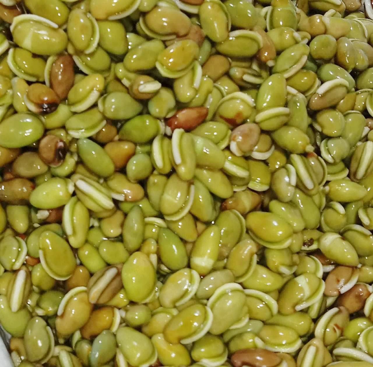 Fresh hyacinth beans from Bangladesh for export